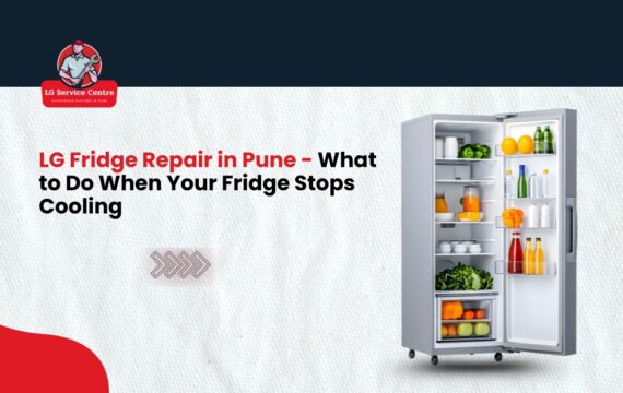 LG fridge repair in Pun