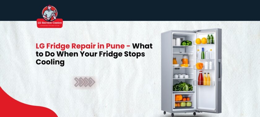 LG fridge repair in Pun